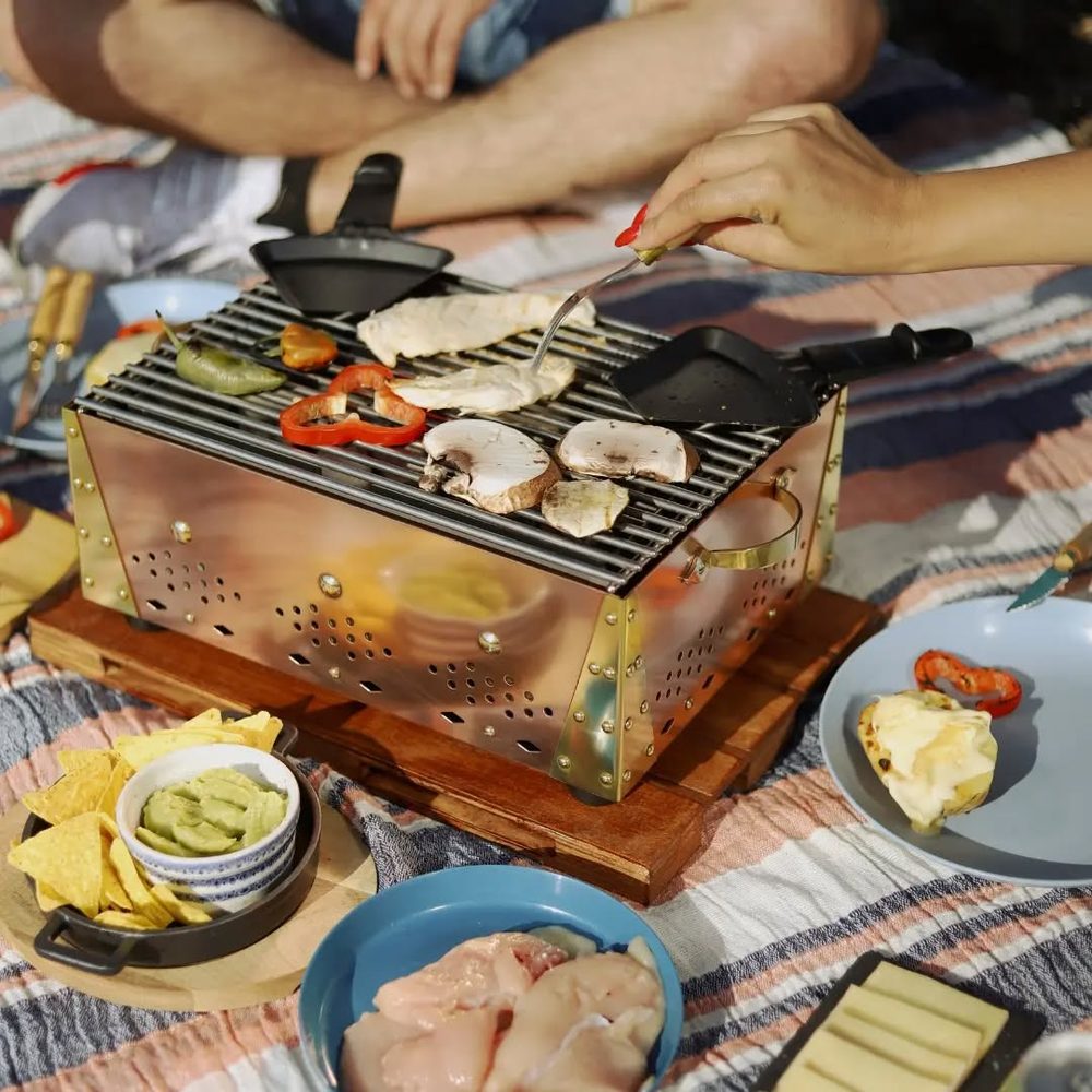 Pique-nique avec grillade, guacamole et légumes frais
