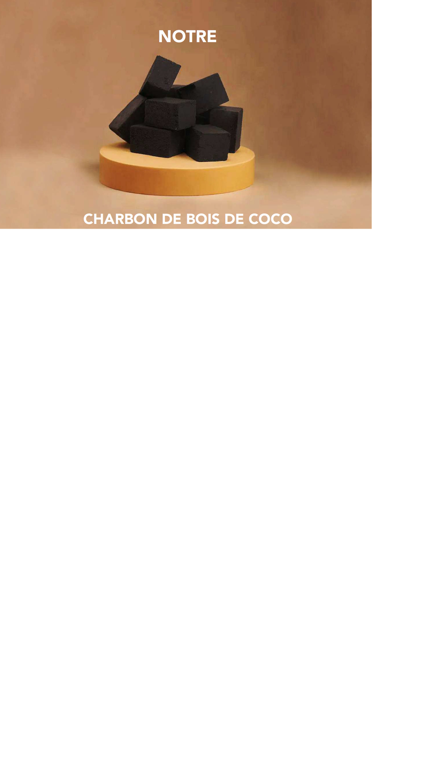 Briquettes de charbon de noix de coco
